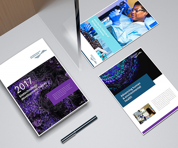 從品質(zhì)到品牌：安心集團攜手品牌vi設(shè)計公司鑄就卓越之路